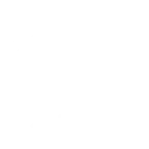 computer-widescreen icon