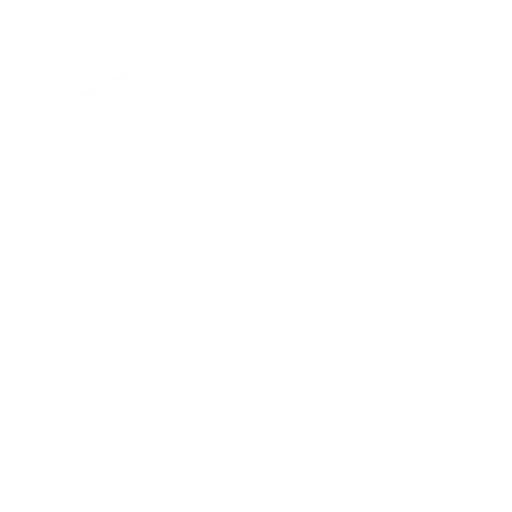 movie-reel icon