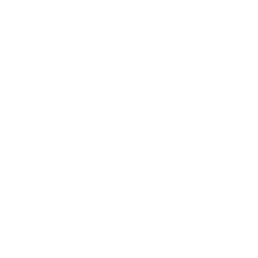 smartphone icon